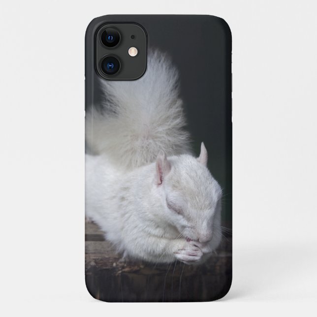 Nutty's Prayer iPhone 11 Case (Back)