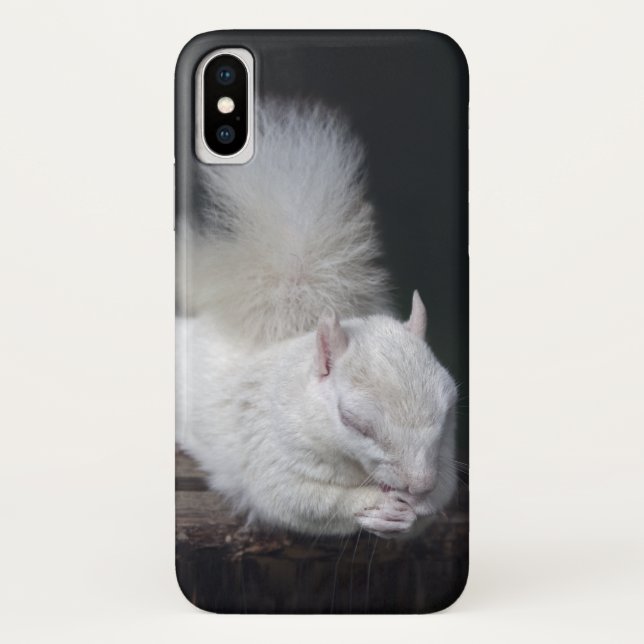 Nutty's Prayer iPhone X Case (Back)