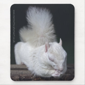 Nutty's Prayer Mousemat Mouse Pad