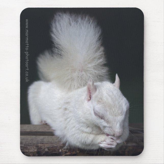 Nutty's Prayer Mousemat Mouse Pad (Front)