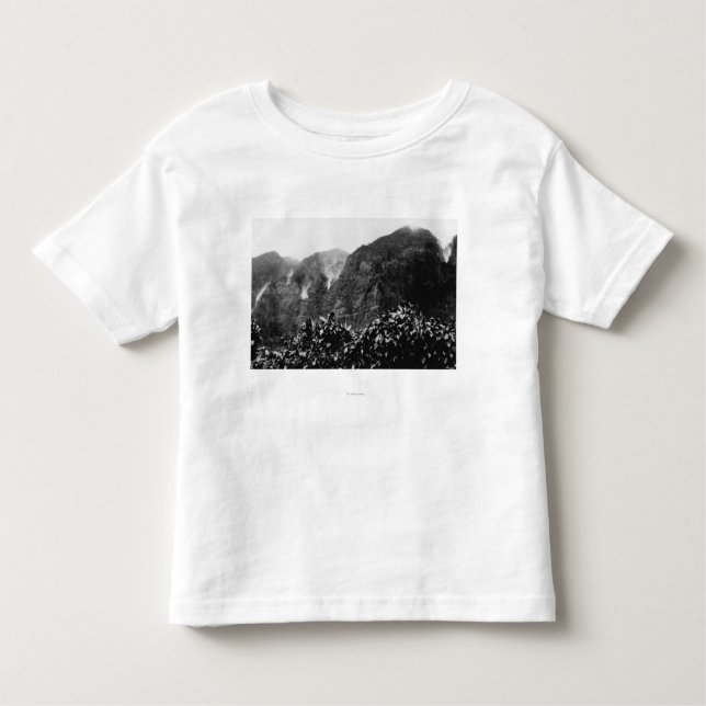 Nuuanu Valley, Hawaii - View of Upside Down Fall Toddler T-shirt (Front)