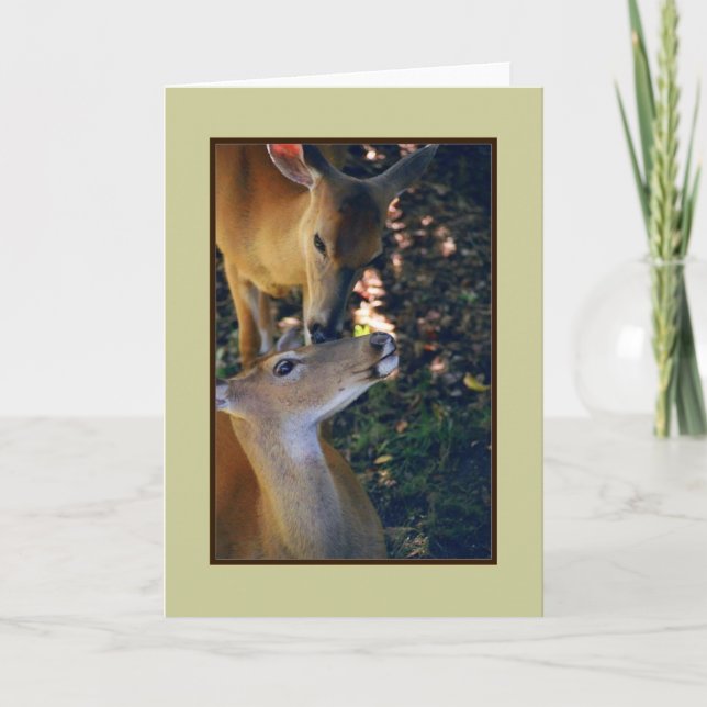 'Nuzzling Deer Duo' Blank Greeting Card (Front)