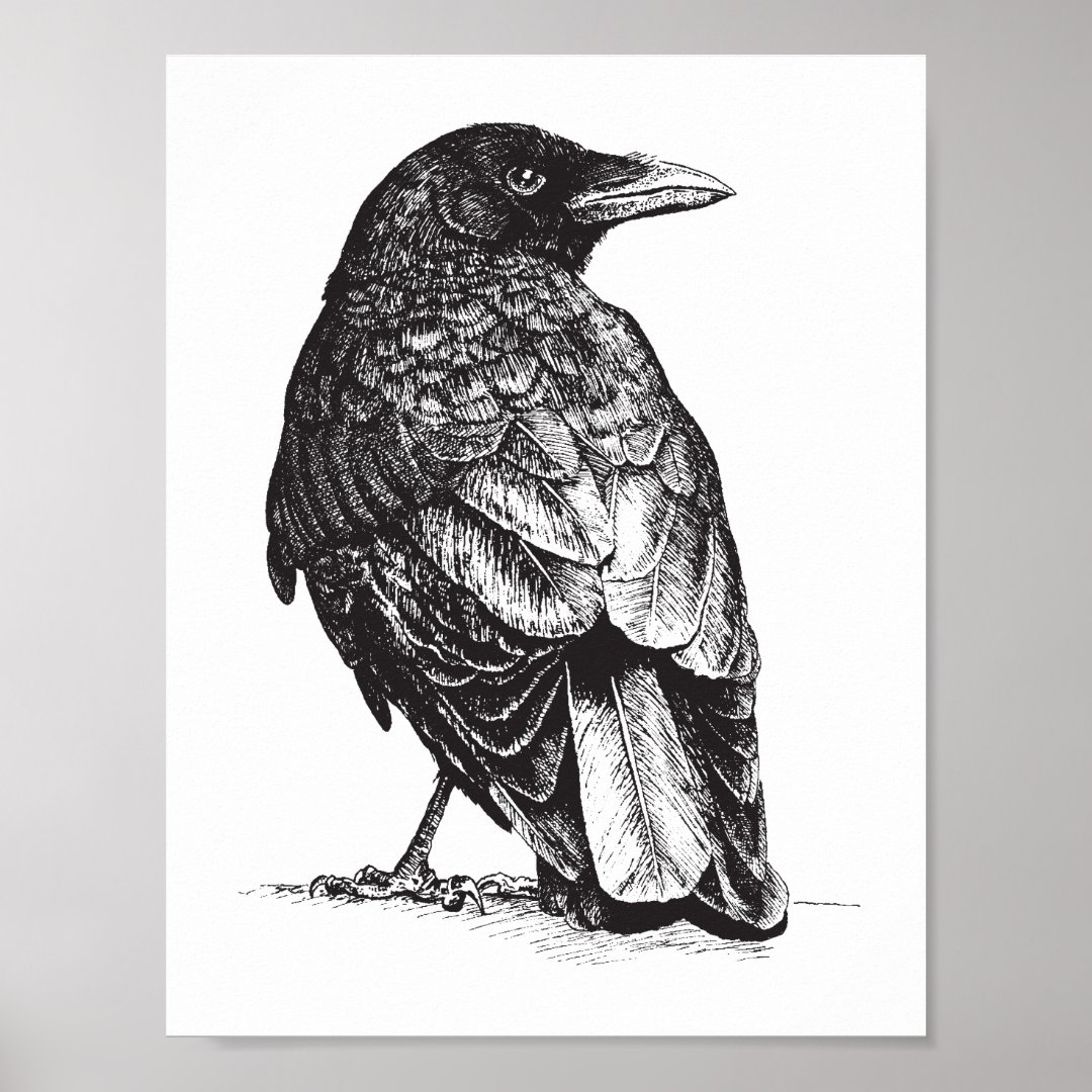 NW Crow Poster | Zazzle