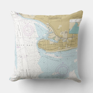 NY_coney island Throw Pillow