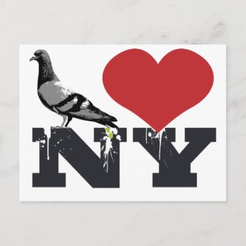 Ny Pigeon Postcard by brev87 at Zazzle