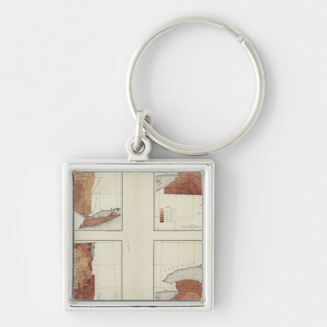 NY rainfall, population, elevation, temperature Keychain (Front)