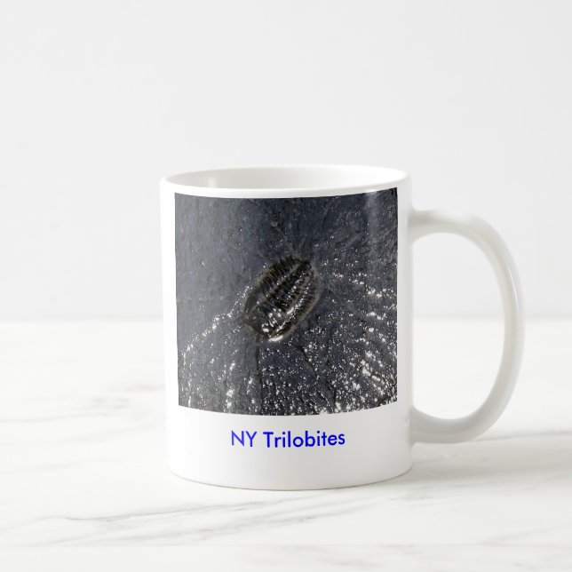 NY Trilobites Mug (Right)