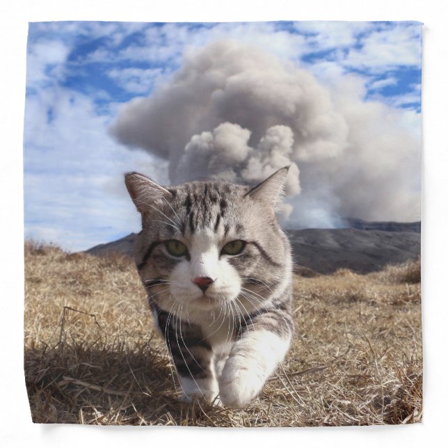 Nyankichi, a stray cat bandana (Front)