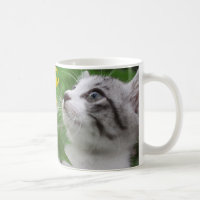 Nyankichi, a stray cat coffee mug