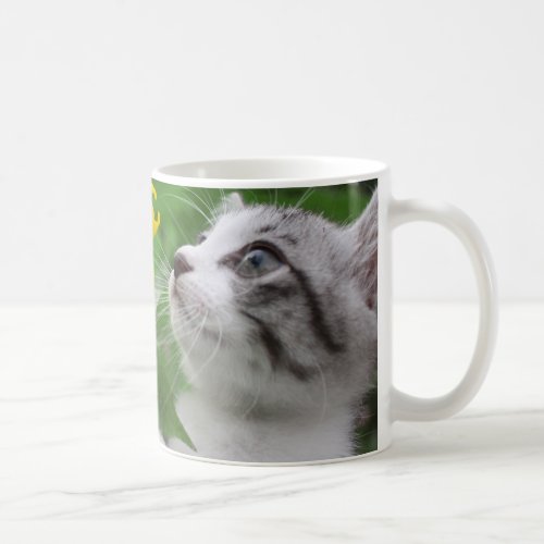 Nyankichi, a stray cat coffee mug