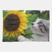 Nyankichi, a stray cat towel