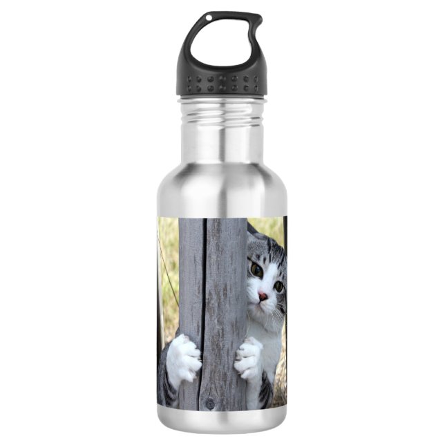 Nyankichi, A Stray Cat Water Bottle (Front)