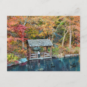 NYC Central Park Autumn, The Lake & Little Dock Postcard