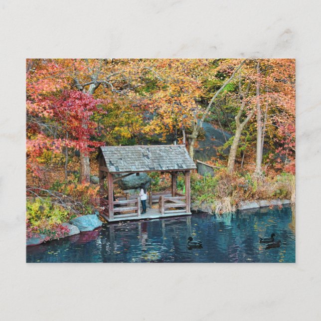 NYC Central Park Autumn, The Lake & Little Dock Postcard (Front)