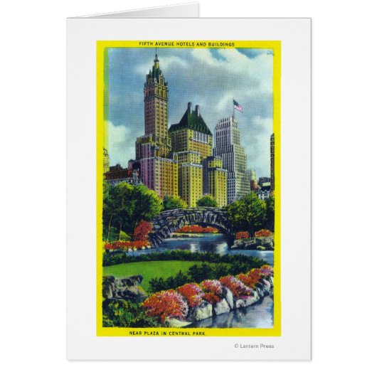 NYC Central Park View of 5th Ave Hotels Cards (Front)