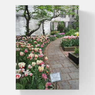NYC Community Garden Spring Tulips Photography Paperweight