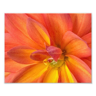 NYC in bloom Photo Print