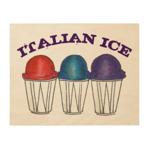 NYC Italian Ice Shaved Ice Snocone Sno Cone Summer Wood Wall Decor