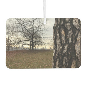 NYC New York City Central Park Tree Sunrise Photo Car Air Freshener