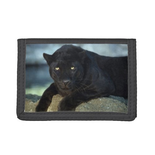 Nylon Tri_Fold WalletWildlife Black Cat Trifold Wallet