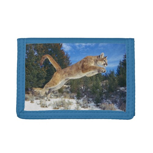 Nylon Tri_Fold WalletWildlife Mountain Lion Tri_fold Wallet