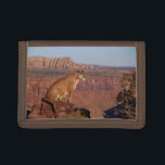 Nylon Tri-Fold Wallet/Wildlife Mountain Lion Trifold Wallet<br><div class="desc">Nylon tri-fold wallet shown with a photo print of a wild mountain lion on the flap.
Customize this item or buy as is. Stock Image</div>