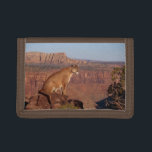 Nylon Tri-Fold Wallet/Wildlife Mountain Lion Trifold Wallet<br><div class="desc">Nylon tri-fold wallet shown with a photo print of a wild mountain lion on the flap.
Customize this item or buy as is. Stock Image</div>