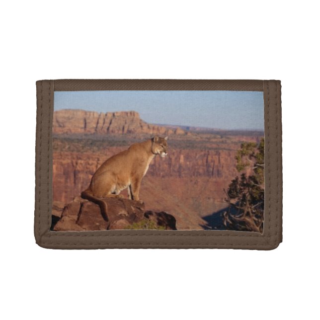 Nylon Tri-Fold Wallet/Wildlife Mountain Lion Trifold Wallet (Front)
