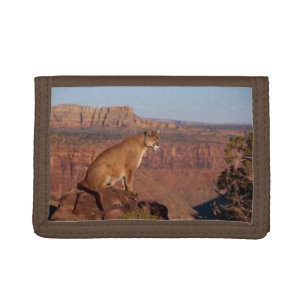 Nylon Tri-Fold Wallet/Wildlife Mountain Lion Wallet