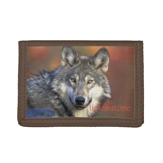 Nylon Tri-Fold Wallet/Wildlife Wolf Wallet (Front)