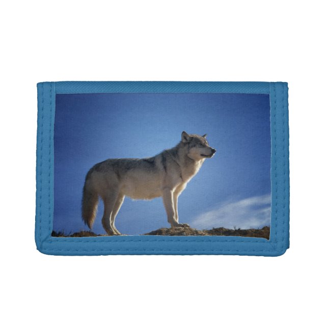 Nylon Tri-Fold Wallet/Wildlife Wolf Wallet (Front)