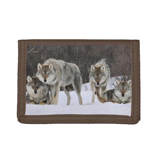 Nylon Tri-Fold Wallet/Wildlife Wolves Trifold Wallet (Front)