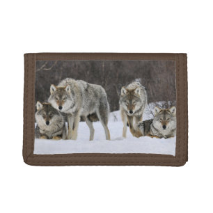 Nylon Tri-Fold Wallet/Wildlife Wolves Wallet