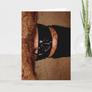 NYLONS AND COLLAR HOLIDAY CARD