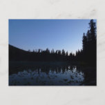 Nymph Lake at Dawn Postcard