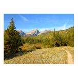 Nymph Lake Trail in Early Autumn Poster