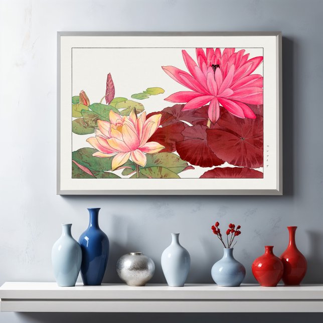Nymphaea lotus, Floral Poster (Creator Uploaded)