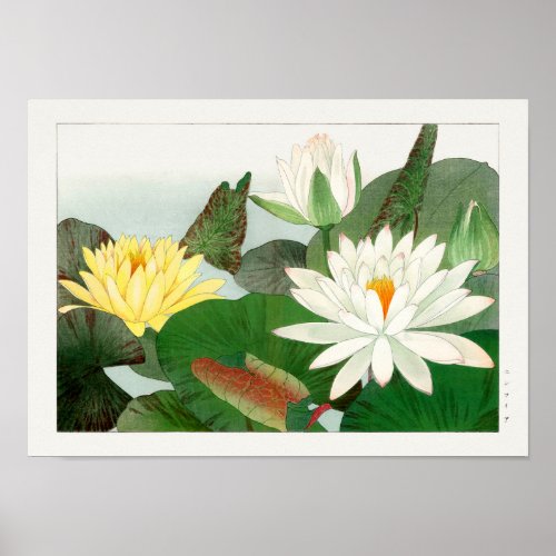Nymphaea lotus poster