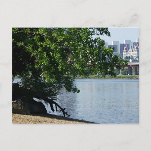 NYS Capitol in Albany from Hudson River Shore Postcard