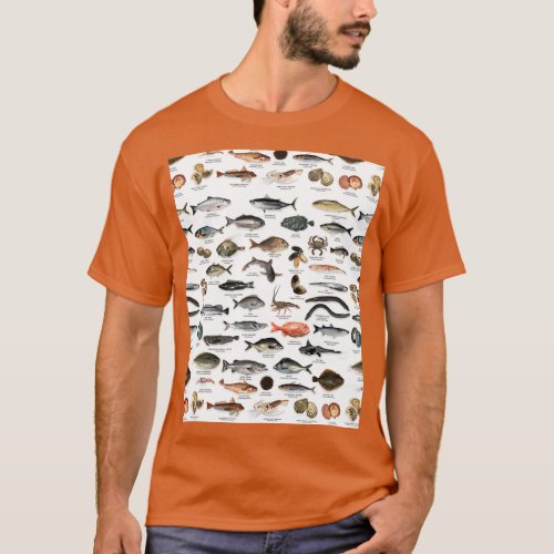 NZ fish species Graphic T_Shirt