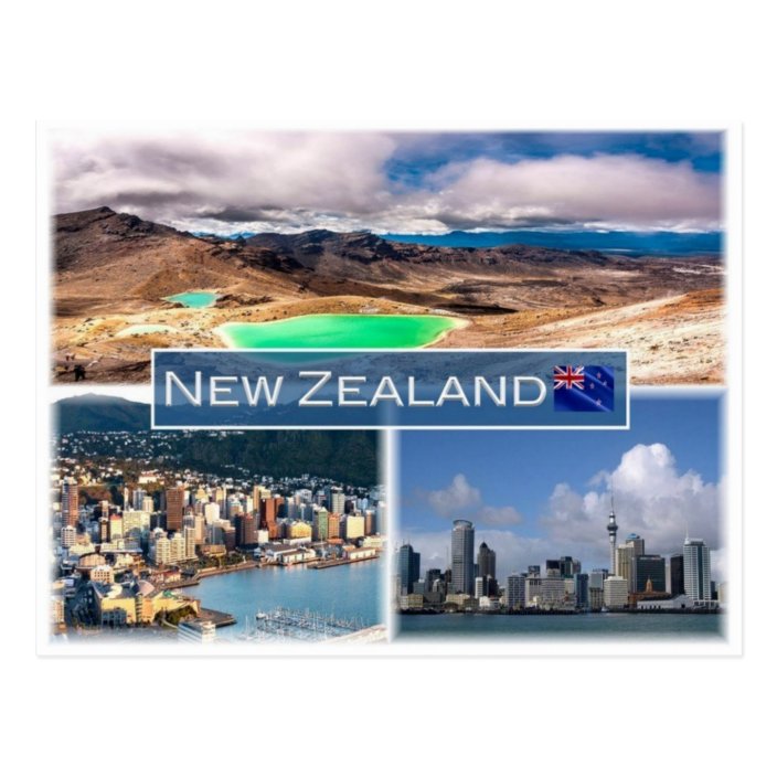 NZ New Zealand Postcard