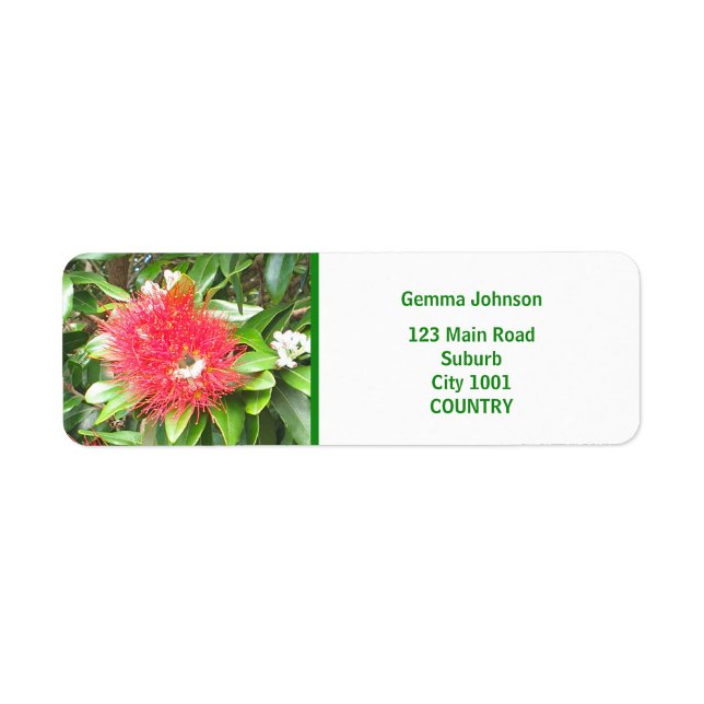 NZ RED POHUTUKAWA FLOWER NEW ZEALAND KIWI XMAS  LABEL (Front)
