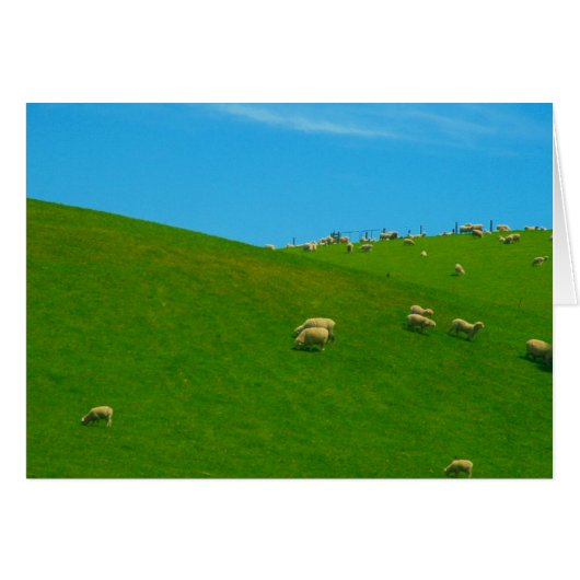 nz sheep hill cards (Front Horizontal)