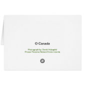 O Canada - Cards (Back Horizontal)