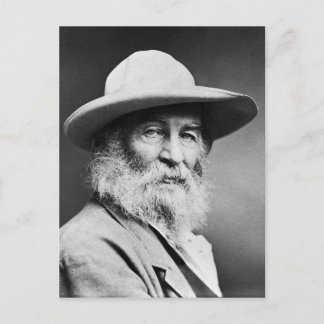 O CAPTAIN! my Captain! Walt Whitman Postcard