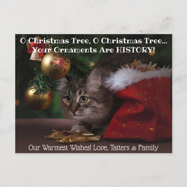 O Christmas Tree Cat Holiday Photo Postcard (Front)