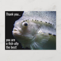 O-fish-ally the Best Thank You Postcard