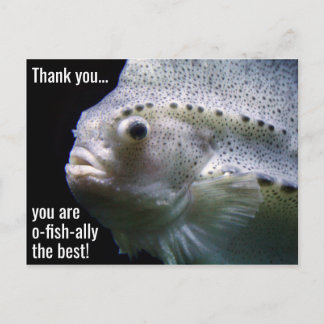 O-fish-ally the Best Thank You Postcard