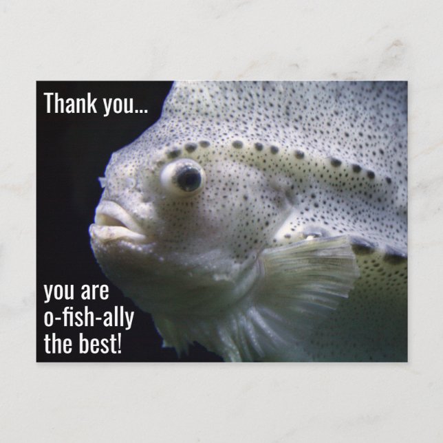 O-fish-ally the Best Thank You Postcard (Front)