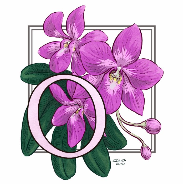 O for Orchids Flower Monogram Photo Cutout